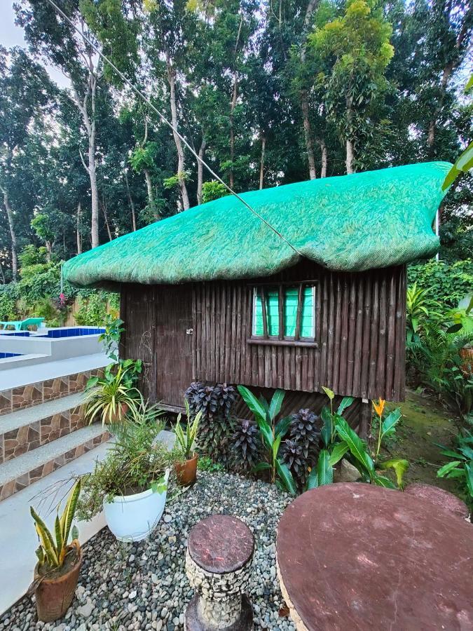Bacnotan, La Union Private Resort - Teresa Kazza Resort エクステリア 写真